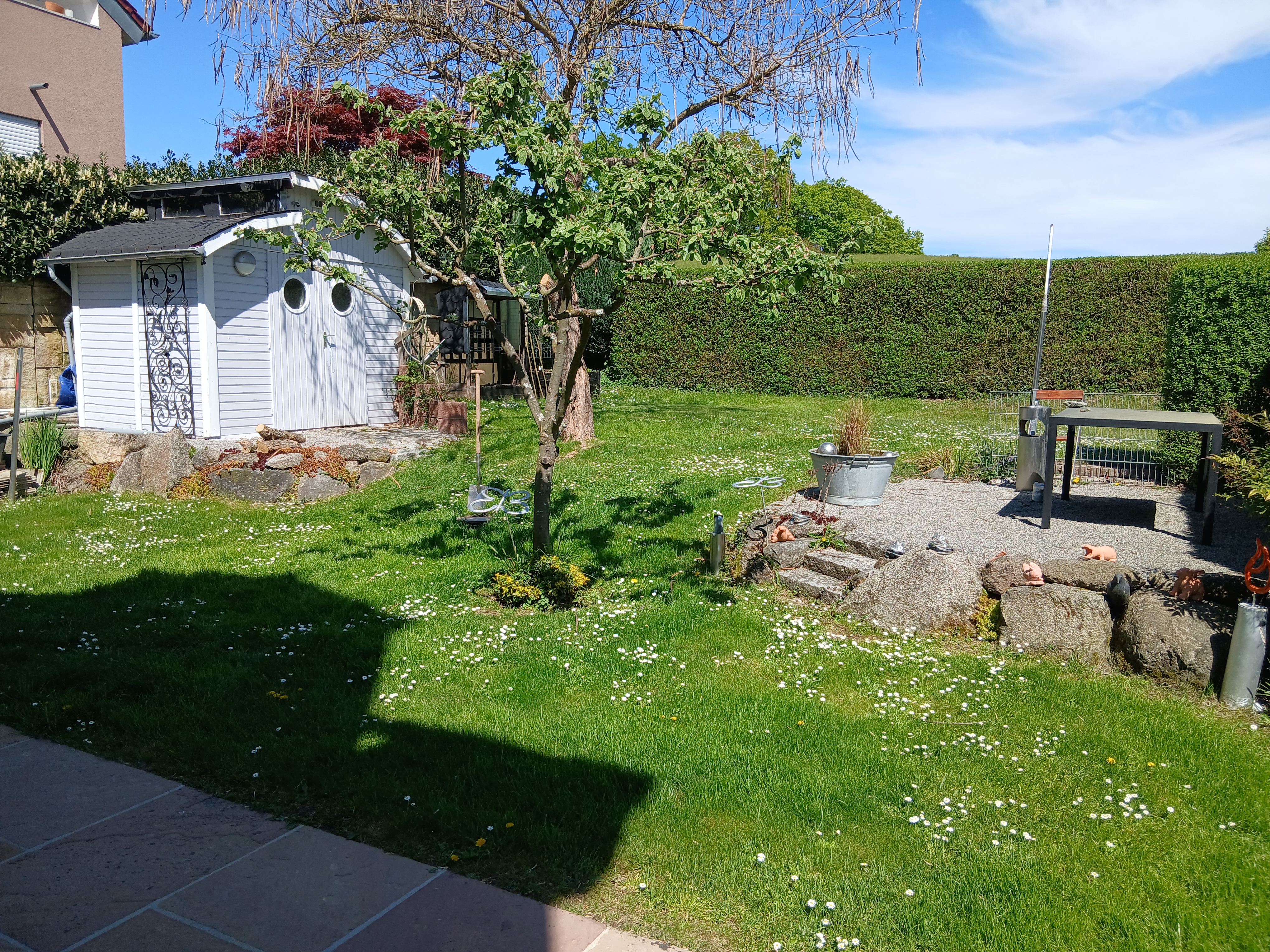 Gartengestaltung Vorher Nachher – Vorher (Ausgangsfoto)